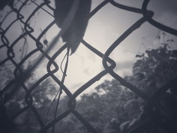 Close-up of chainlink fence against sky
