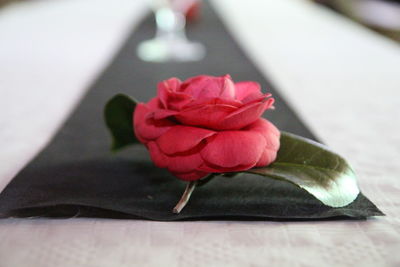 Close-up of pink rose on table