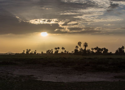 Scenic view of field against sky during sunset