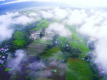 High angle view of rice field against sky