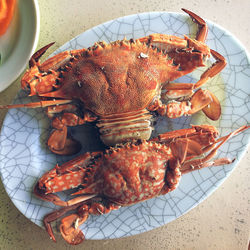 High angle view of prawns on barbecue grill
