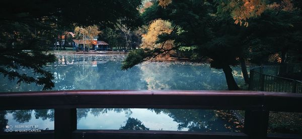 Reflection of trees on lake