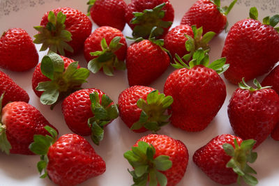 High angle view of strawberries on table