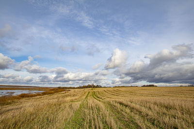 Scenic view of agricultural field against sky