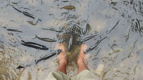 Low section of man standing in water