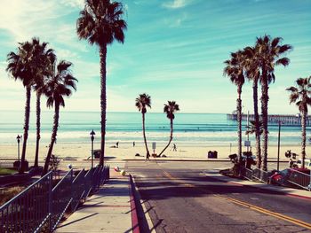 Palm trees on beach against sky