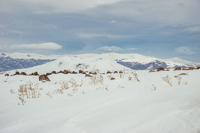 Scenic view of snow covered mountains against sky