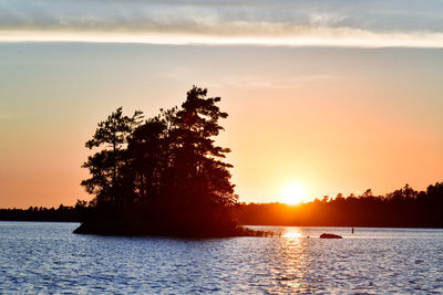 Silhouette tree by lake against sky during sunset