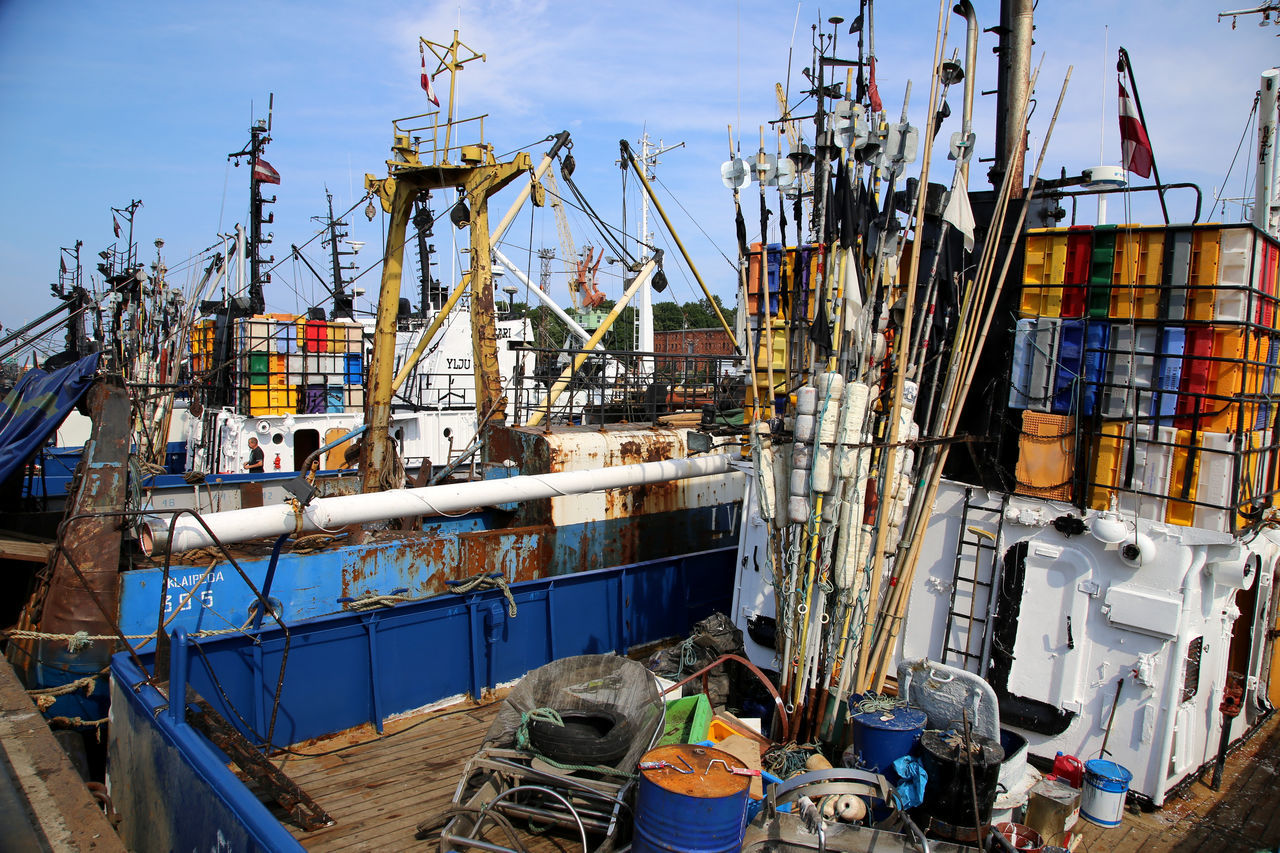 Fishing boats in har