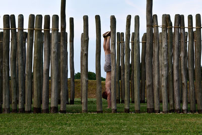 Man exercising amidst bamboo fence