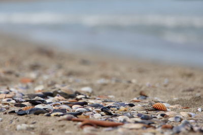 Close-up of stones on beach