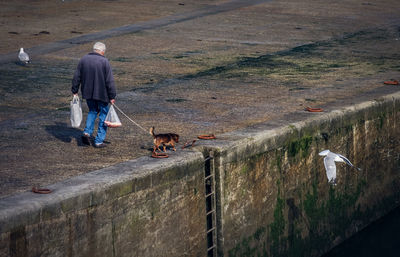 Rear view of man with dog walking on road