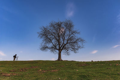 Bare tree on field against sky