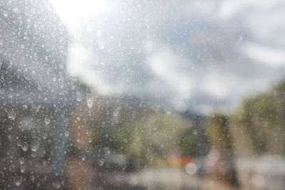 Trees seen through wet glass window during winter
