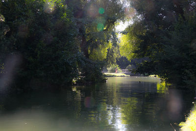 Reflection of trees in water against sky