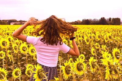 Rear view of woman standing amidst sunflower field