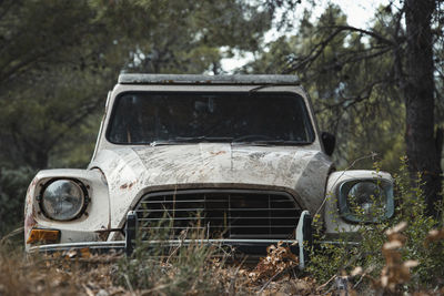 Abandoned car in forest