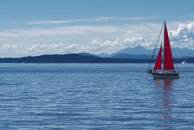 Sailboat sailing in sea against sky