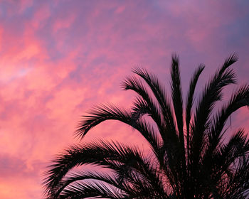 Low angle view of silhouette palm tree against romantic sky