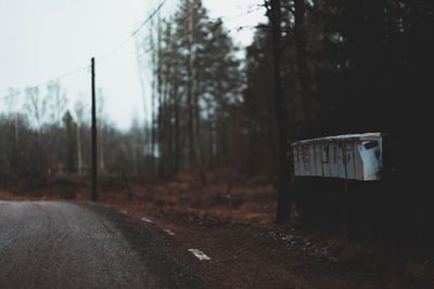 Empty road amidst trees in city