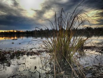 Scenic view of lake against sky during sunset