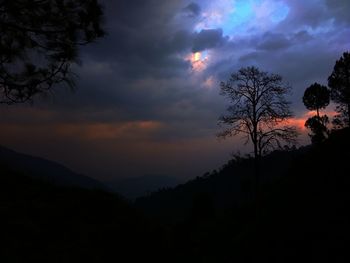 Silhouette trees against sky during sunset