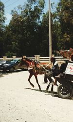 People working on road against sky