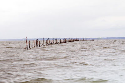 Wooden posts on beach against clear sky