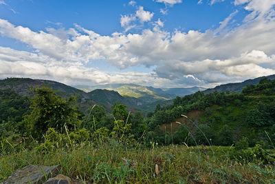 environment