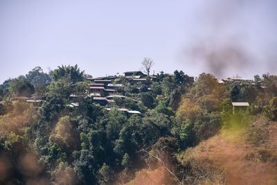 Trees and buildings against sky