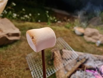 Cropped image of person wearing hat