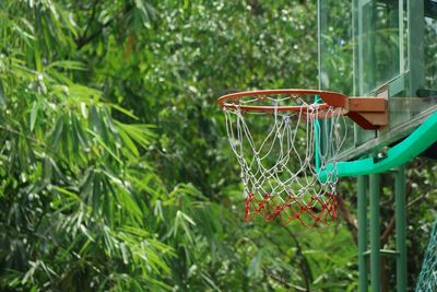 Low angle view of basketball hoop against trees