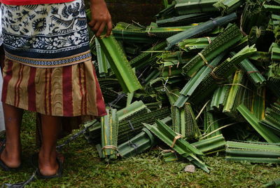 Low section of woman standing on field