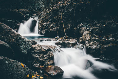 Scenic view of waterfall in forest