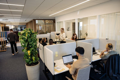 Male and female business colleagues working on laptops sitting in coworking office