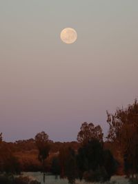 Scenic view of moon against sky at night