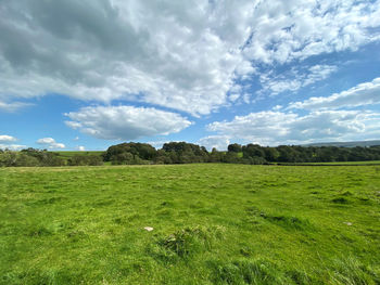 Open countryside, with meadows, fields, and a cloudy sky in, slaidburn, clitheroe, uk