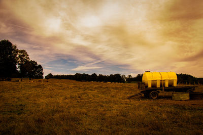 Plants on field against sky during sunset