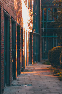 Footpath amidst buildings in city