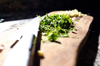 High angle view of chopped leaf on cutting board