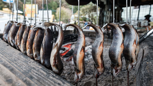 Close-up of fish for sale in market