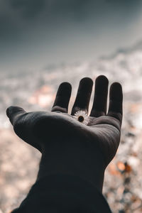 Cropped hand holding white flower