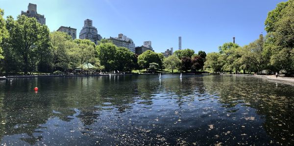 Scenic view of lake by trees against clear sky