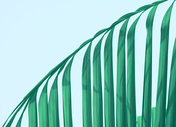 Close-up of palm leaf against blue sky