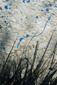blue