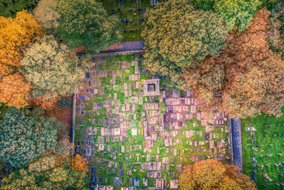 High angle view of plants by building during autumn