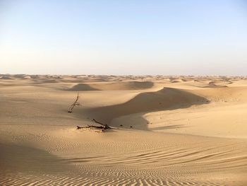 Scenic view of beach
