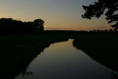 Reflection of trees in lake