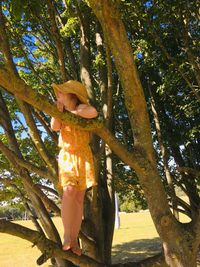 Woman standing by tree trunk