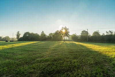 Scenic view of grassy field against sky